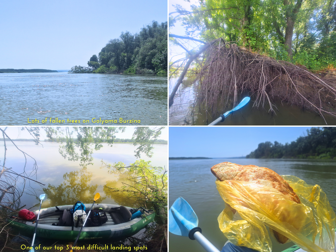 kayaking break on the Danube River in Bulgaria Persin Belene Island landing spot fallen trees exposed roots tricky lunch croissant