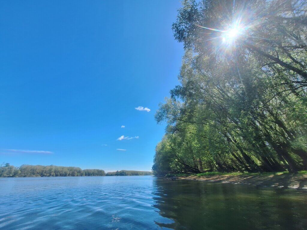 kayaking to Erdut Croatia Poric floodplain wetland river bend beautiful nature sunshine April