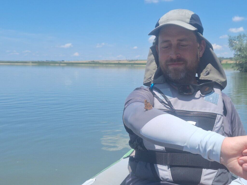 kayaking away from Garla Mare Island Jonas butterfly hitchhiker Zucchini paddling 2024 Romania Danube River