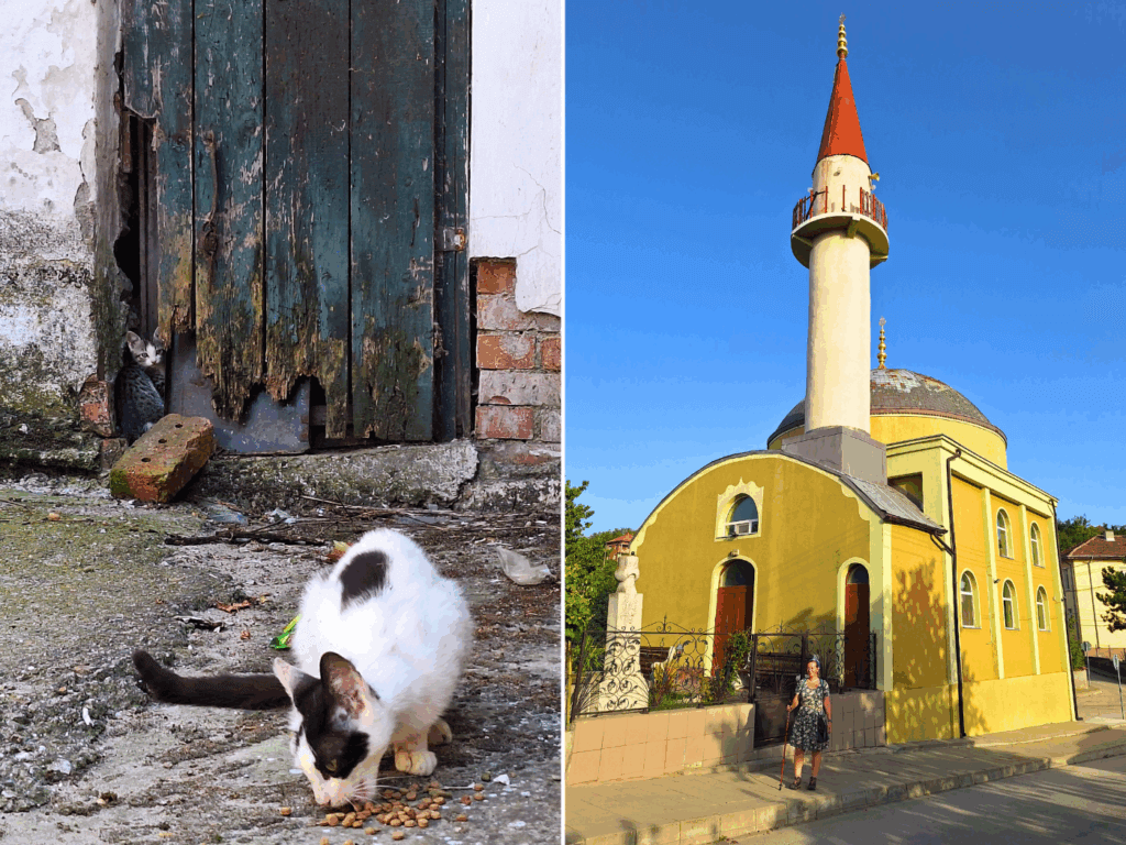 Nikopol Bulgaria Nigbolu mosque ottoman heritage muslim islam stray cats kittens feeding Iris Veldwijk travel Danube river off day