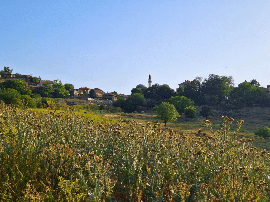 vista of Nikopol mosque Nigbolu Ottoman Turkish heritage field hiking Bulgaria kayak trip Danube River