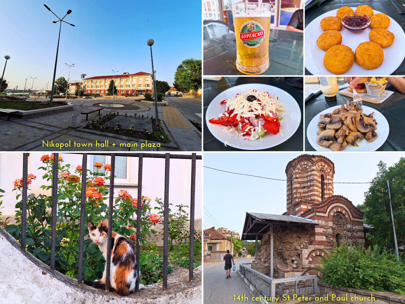 Danube Nikopol Bulgaria sports bar town hall plaza beer food shopska salata deep fried camembert small st peter and paul church