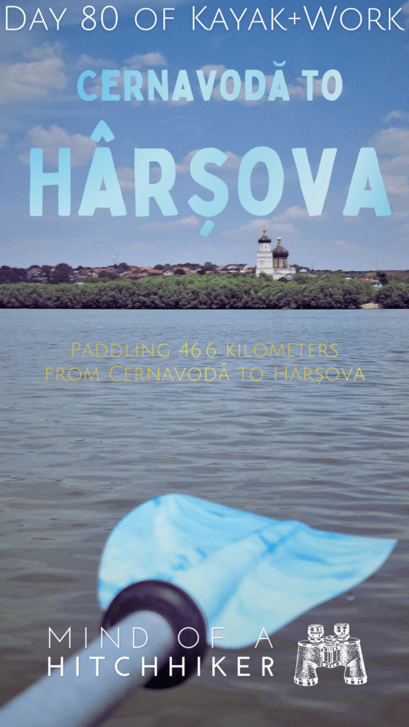 Kayak Trip Day 80 Cernavodă to Hârșova Third Leak Swimming Cows Roman Ruins Dobruja