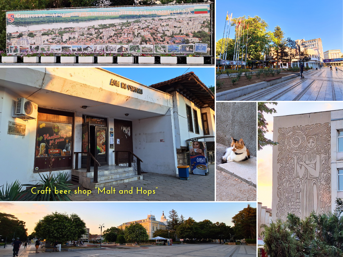 traveling in Northern Bulgaria Silistra craft beer shop malt and hops city square history murals cat indoor outdoor