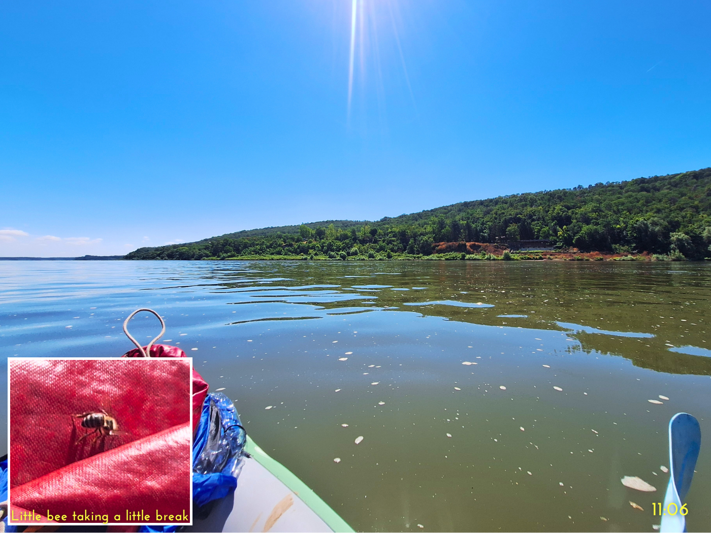 Danube river kayaking Tutrakan to Silistra Vetren Bulgaria lunch break bee kayak break