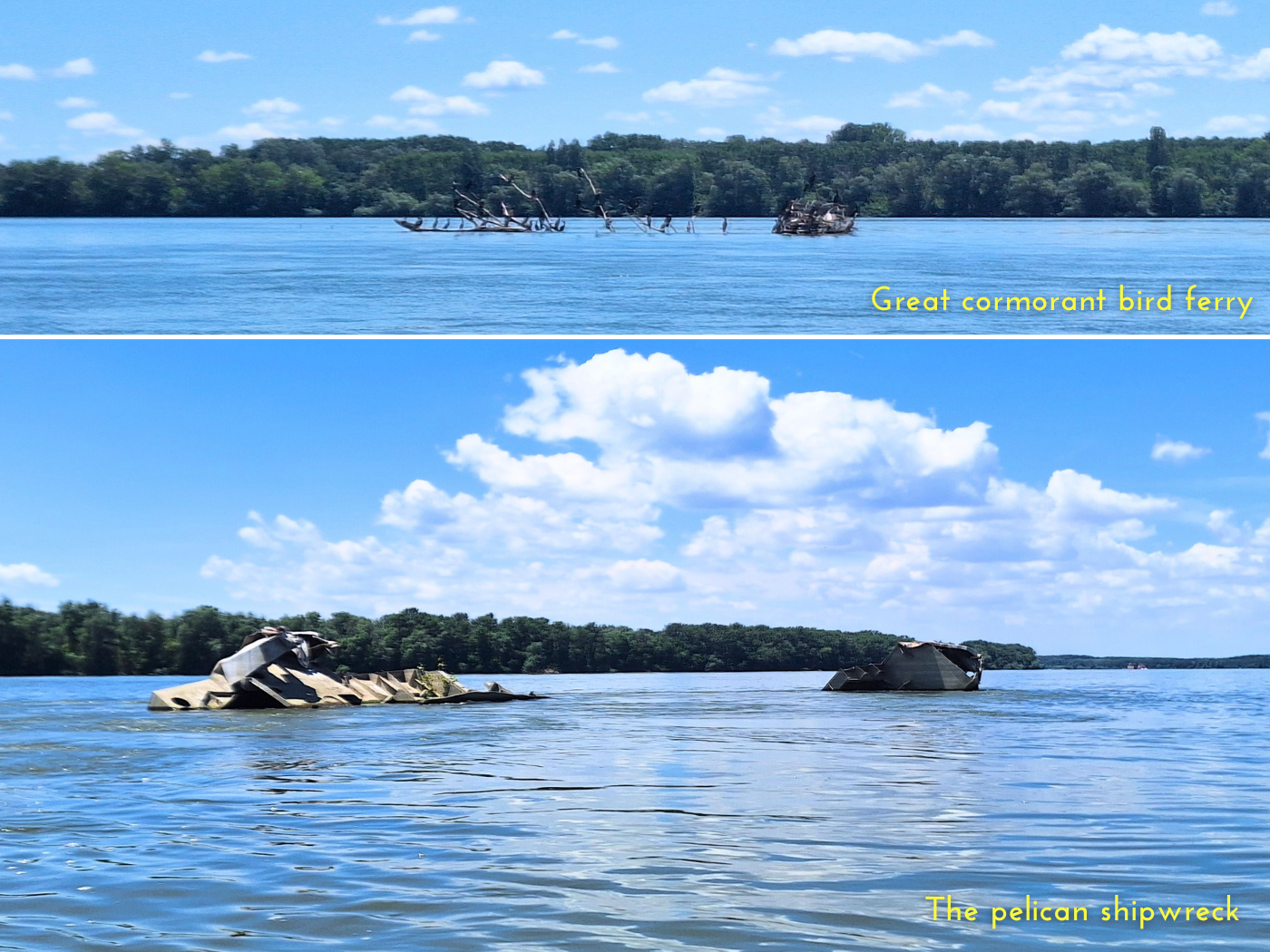 Danube kayaking Ostrovul Ciocanesti Vetren Island Bulgaria Romania great cormorant bird ferry and unmapped pelican shipwreck Balkan travel to the Black Sea