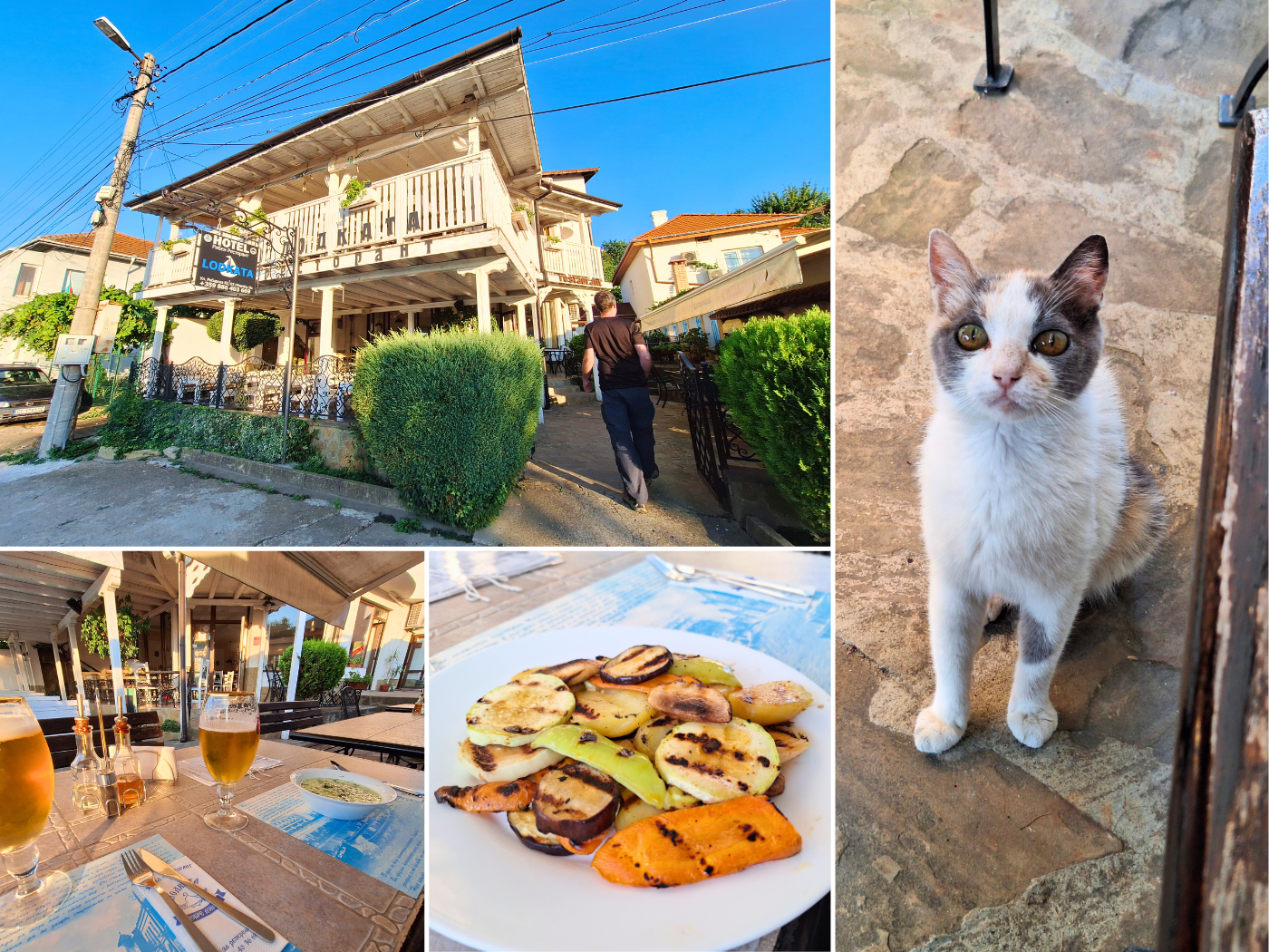 light dinner in Tutrakan Bulgaria one night stop street cat sweet eyes begging restaurant beer relaxation Danube kayak trip day 75