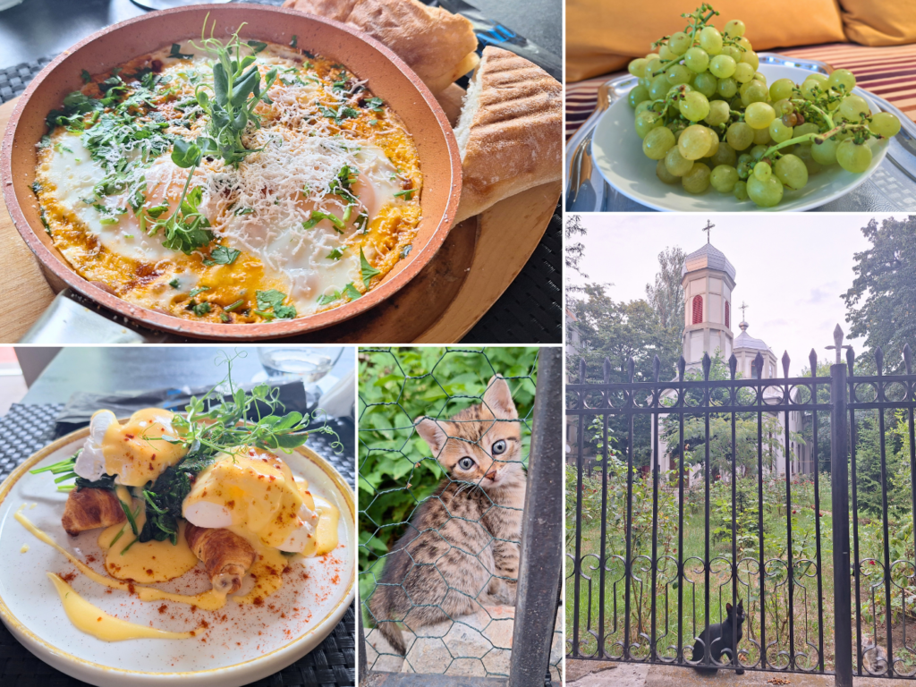 25 July off day after Moldova breakfast in Galati shakshouka Malu stray cats church kitten adorable