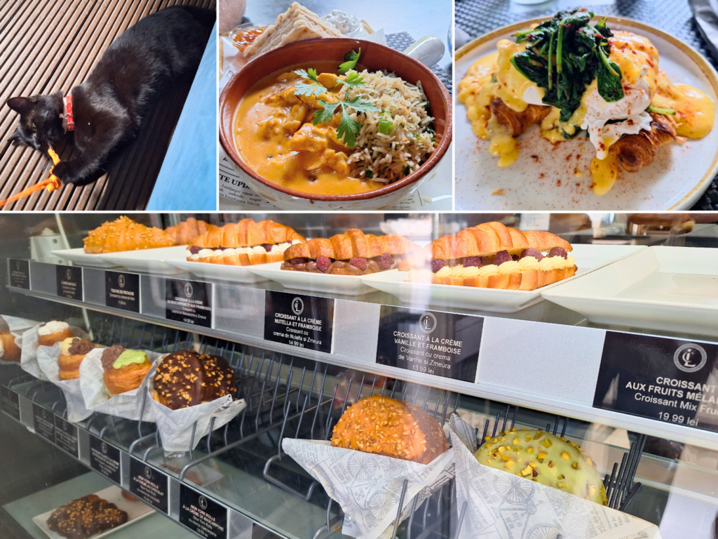 off day 26 July kayak trip Danube Galati lunch stray cat vegetarian food Romania