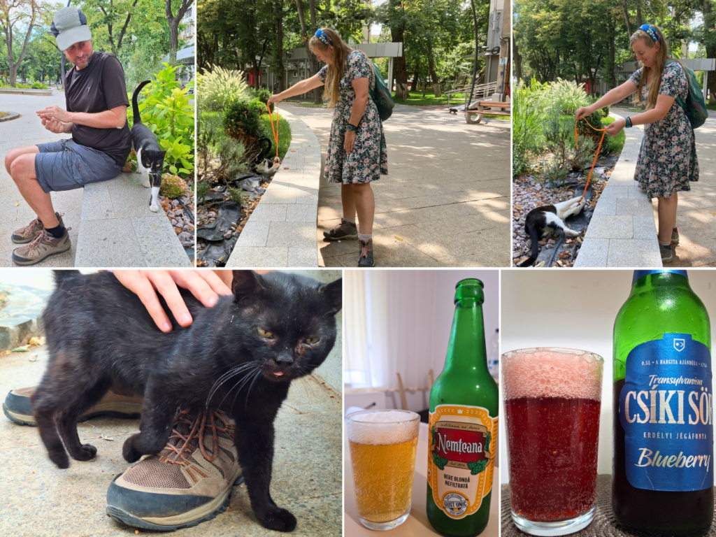 26 July kayak trip off day Galati special beer Romania sweet stray cat playing Danube trip