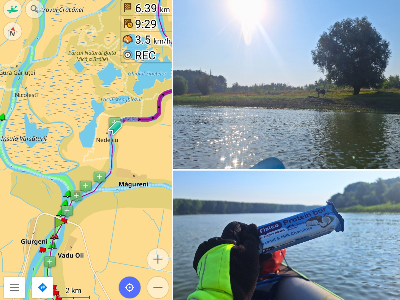 kayaking the Valciu Branch arm of the Danube river horses Great Big Braila Island Little Small Braila Island nature reserve Romania protein bar map kayak