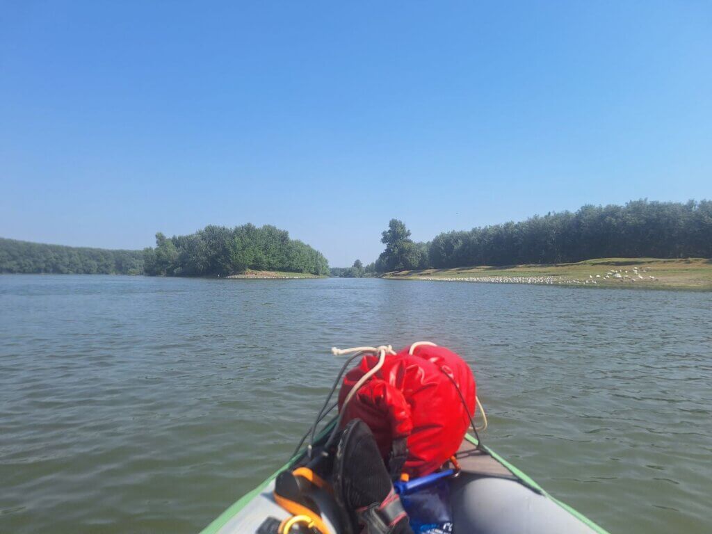 Bandoiu Valciu Branch Danube Romania unnamed river island birds geese waterfowl kayak trip embankment