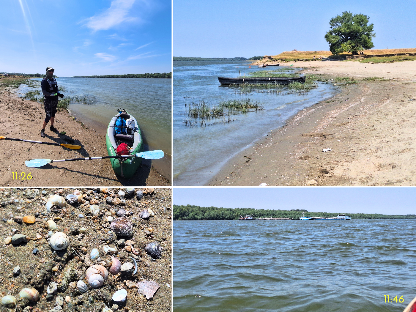 Topalu village Romania break pause kayaking to Harsova beach mollusk sea shells single tree horse bathing swimming in Danube River