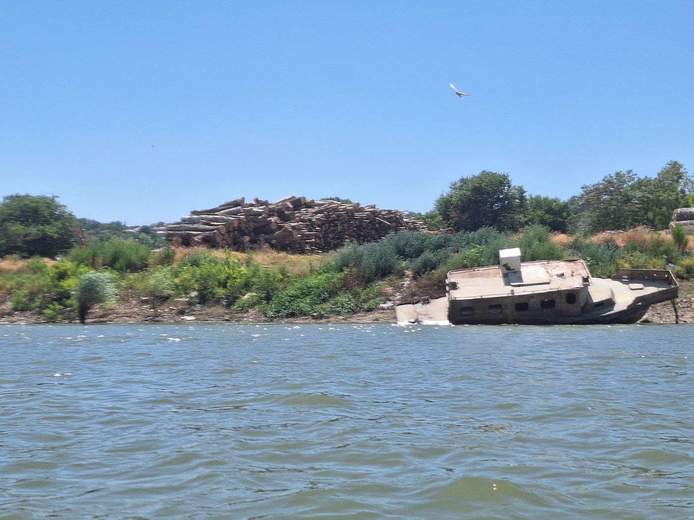 shipwreck Danube abandoned boat shores of Ostrov Constanta commune Romania village logs horses