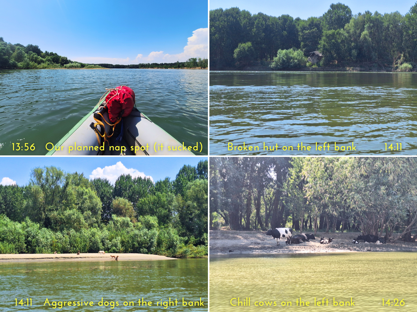 kayaking Valciu Branch Danube River Romania potential landing spot feral wild dogs aggressive calm cows fishing hut Balkan travel