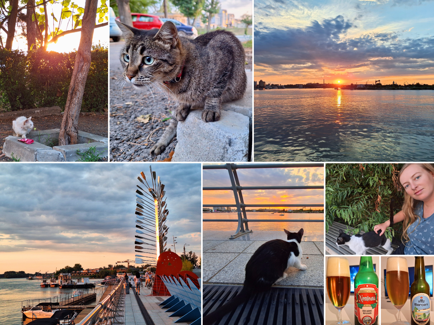 29 July Tulcea city impressions friendly stray and indoor outdoor cats sunset Danube River kayak monument sweet tuxedo cat