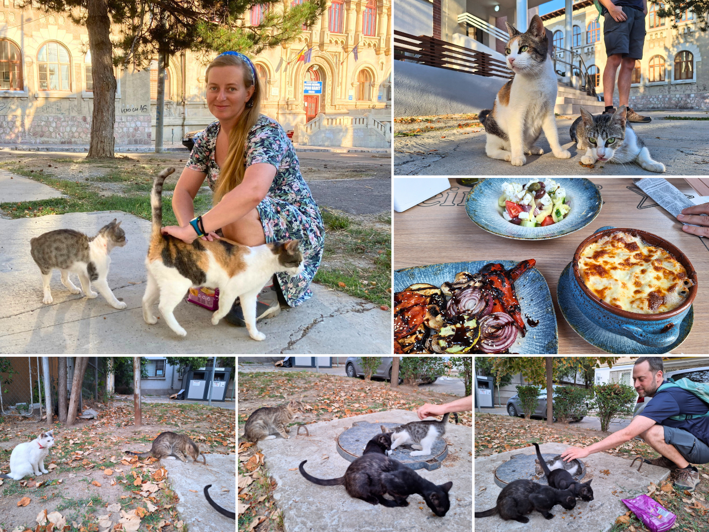 Iris Veldwijk birthday Tulcea Danube River Romania stray cats food dinner lunch vegetarian travel Romania