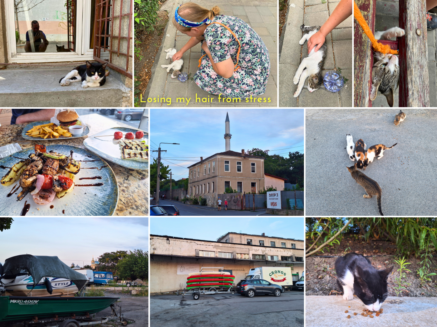 1 August walk Tulcea stray cats Danube River Romania kittens lunch restaurant grilled vegetables