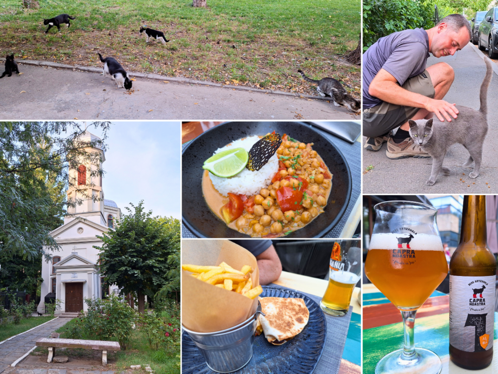 20 July off day restaurant dinner Galati Romania vegetarian travel stray cats friends craft beer