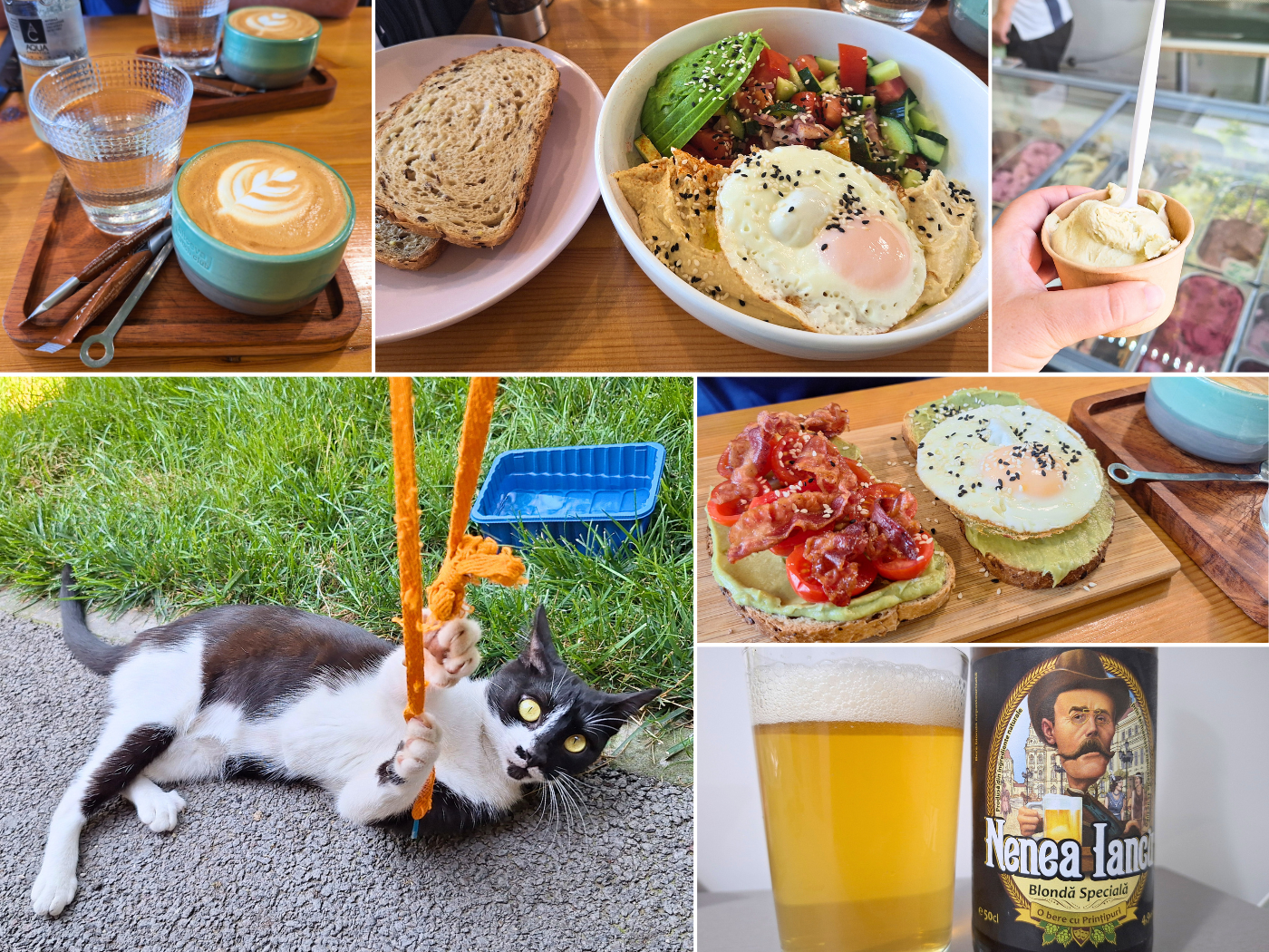 23 July off day kayaking lunch Galati brunch Romania craft beer playing with a friendly stray