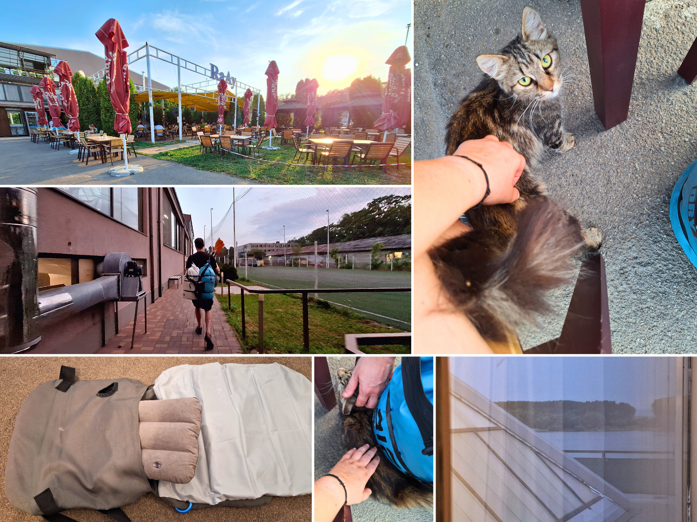 Raay restaurant and hotel Danube River Romania stray cat sport facilities Braila city