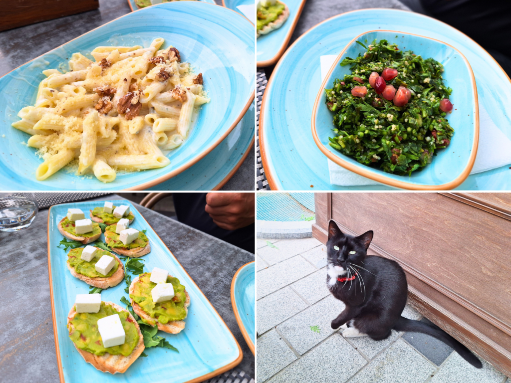 Braila offday one lunch restaurant Raay pasta salad tabbouleh stray cat with a collar friendly