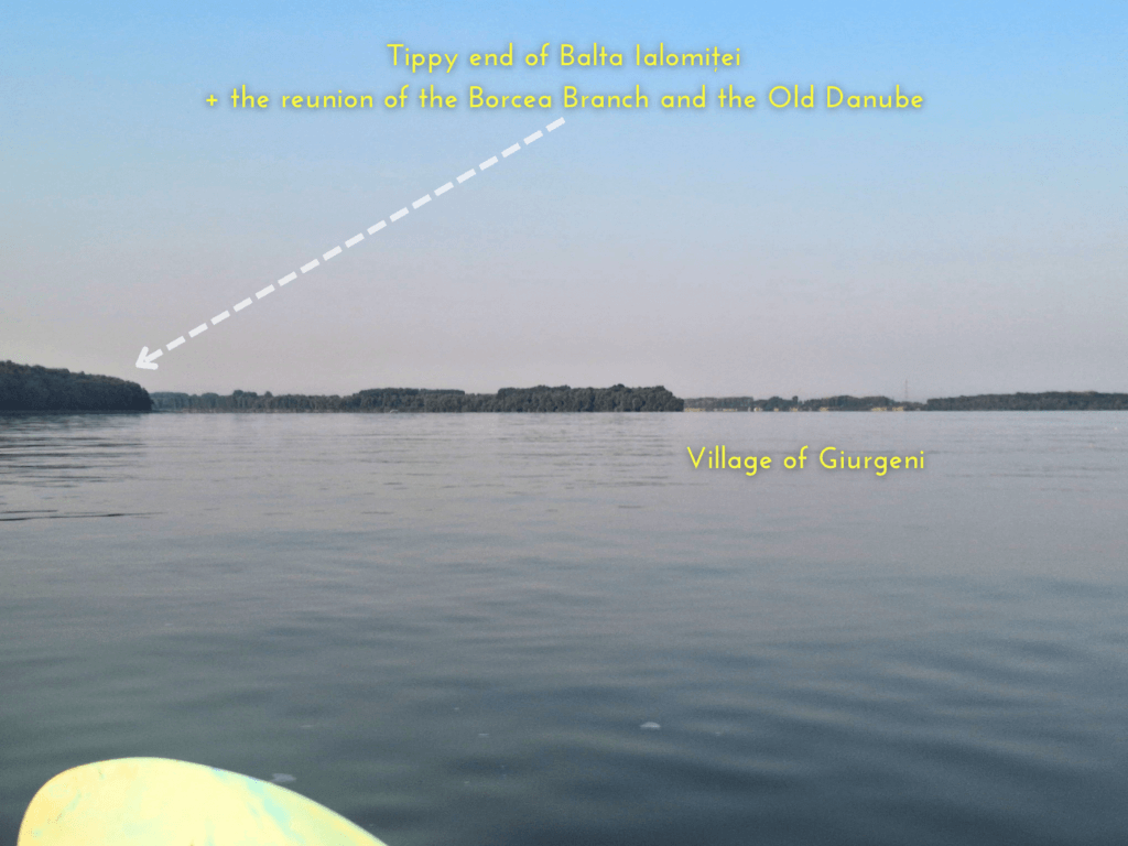 end of Balta Ialomitei Bratul Borcea Branch Dunarea Veche Ostrov branch Danube River kayaking Giurgeni Romania Constanta County Ialomita Muntenia