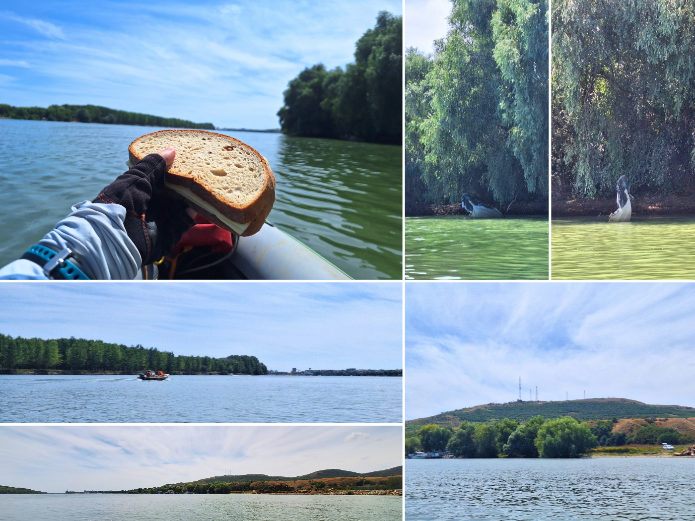 noon lunch time kayak trip day 85 sandwich Tulcea to Murighiol sunken fishing boat tour speedboat Dealul Curcuz Hill Romania Danube River Delta travel