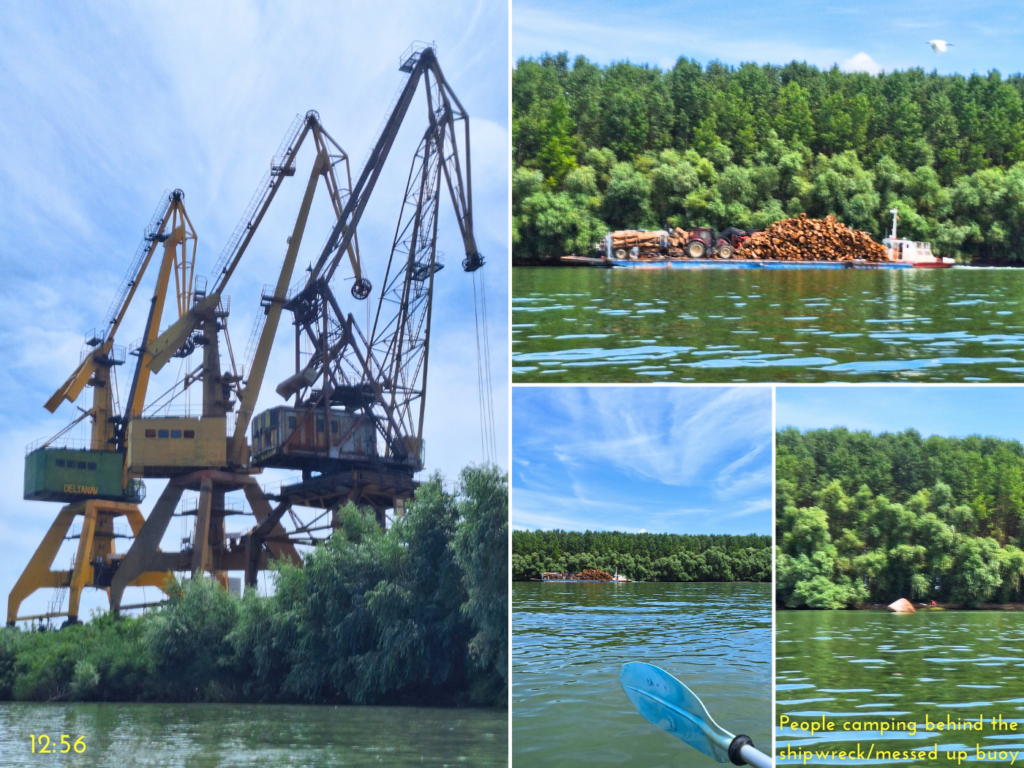 port of Mahmudia Sfantu Gheorghe branch of the Danube Delta close to the Black Sea cranes barge carrying logs lumber forestry tilted buoy
