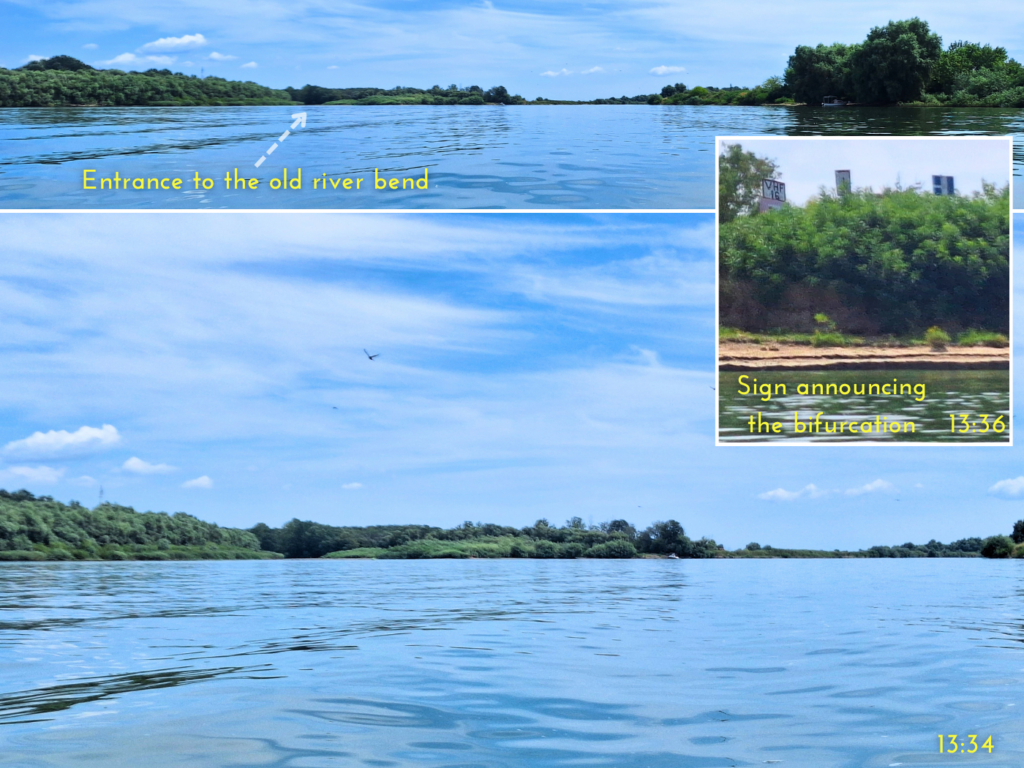 Bifurcation cut river meander in the Sfantu Gheorghe Branch of the Danube Delta kayaking long route short route nature area near Murighiol boat trips