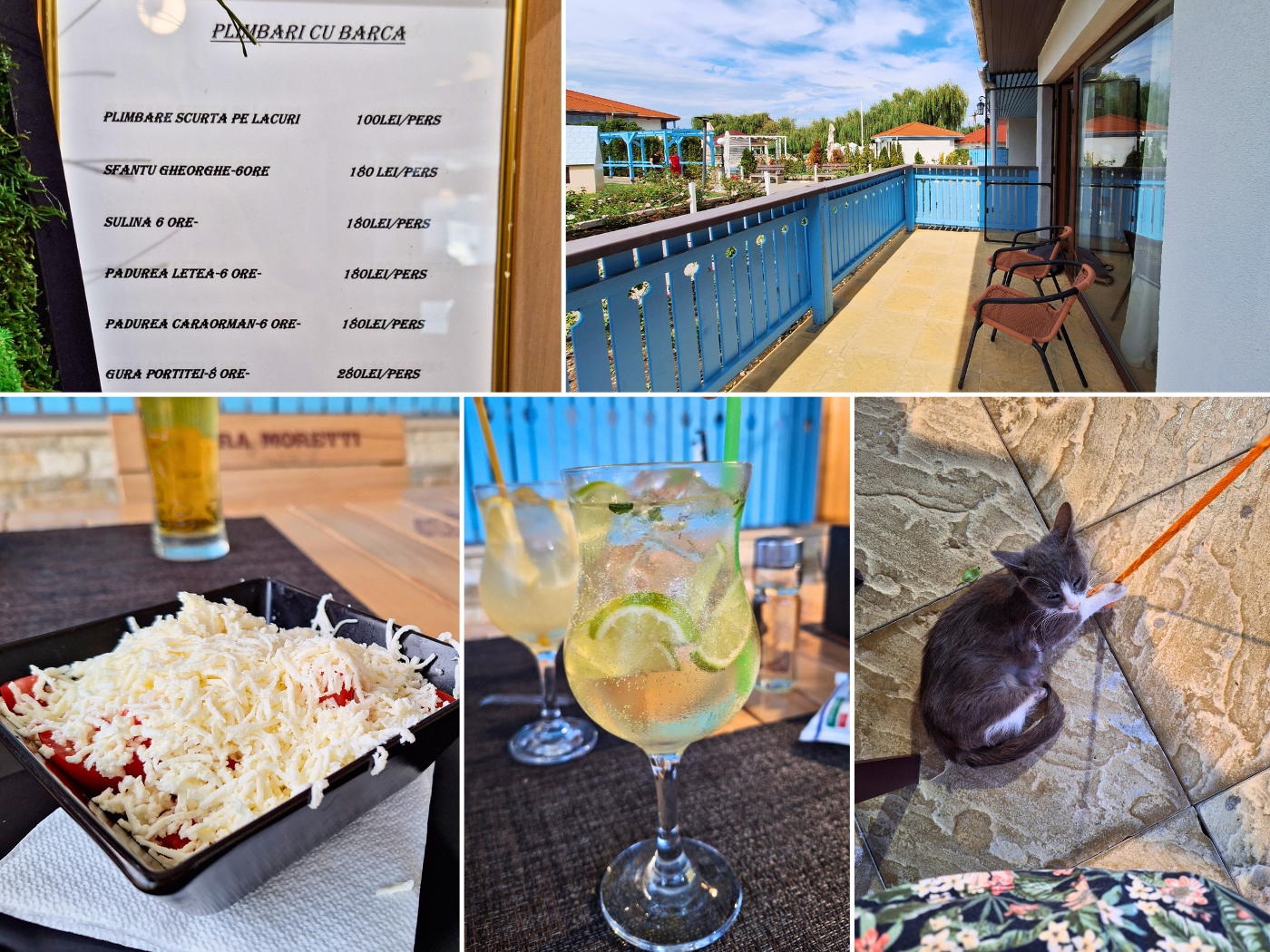 5 August Hotel pensiunea laguna albastra Murighiol stray cat boat trips hotel room food recovery kayak trip day 85 from Tulcea cocktail