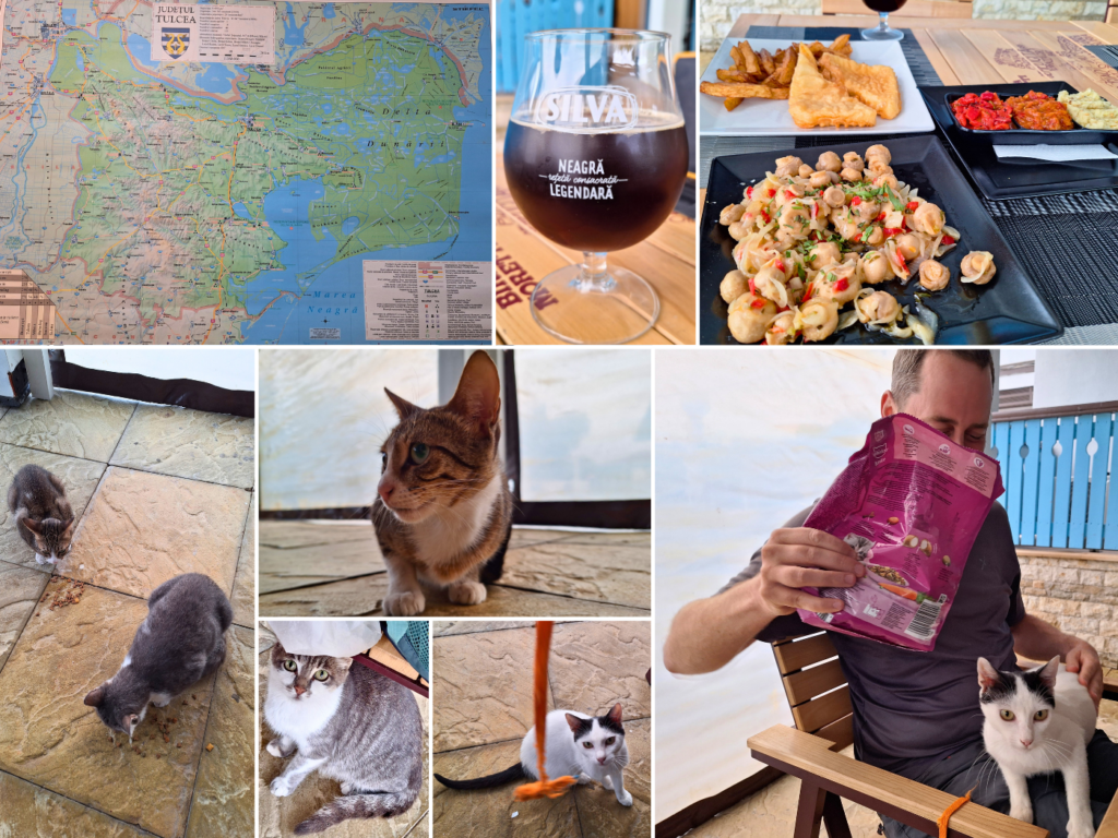 6 August stray cats hotel Laguna Albastra friendly cat feeding map of Danube Delta Murighiol beer