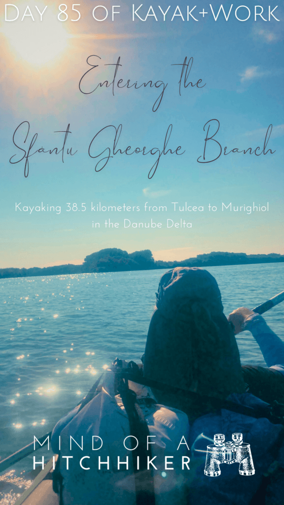 kayak and work day 85 Danube Delta kayaking Romania Sfantu Gheorghe branch to the Black Sea distributary bifurcation Sulina