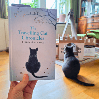 The Travelling Cat Chronicles Hiro Arikawa travel story Japan road trip Nana Hachi cats