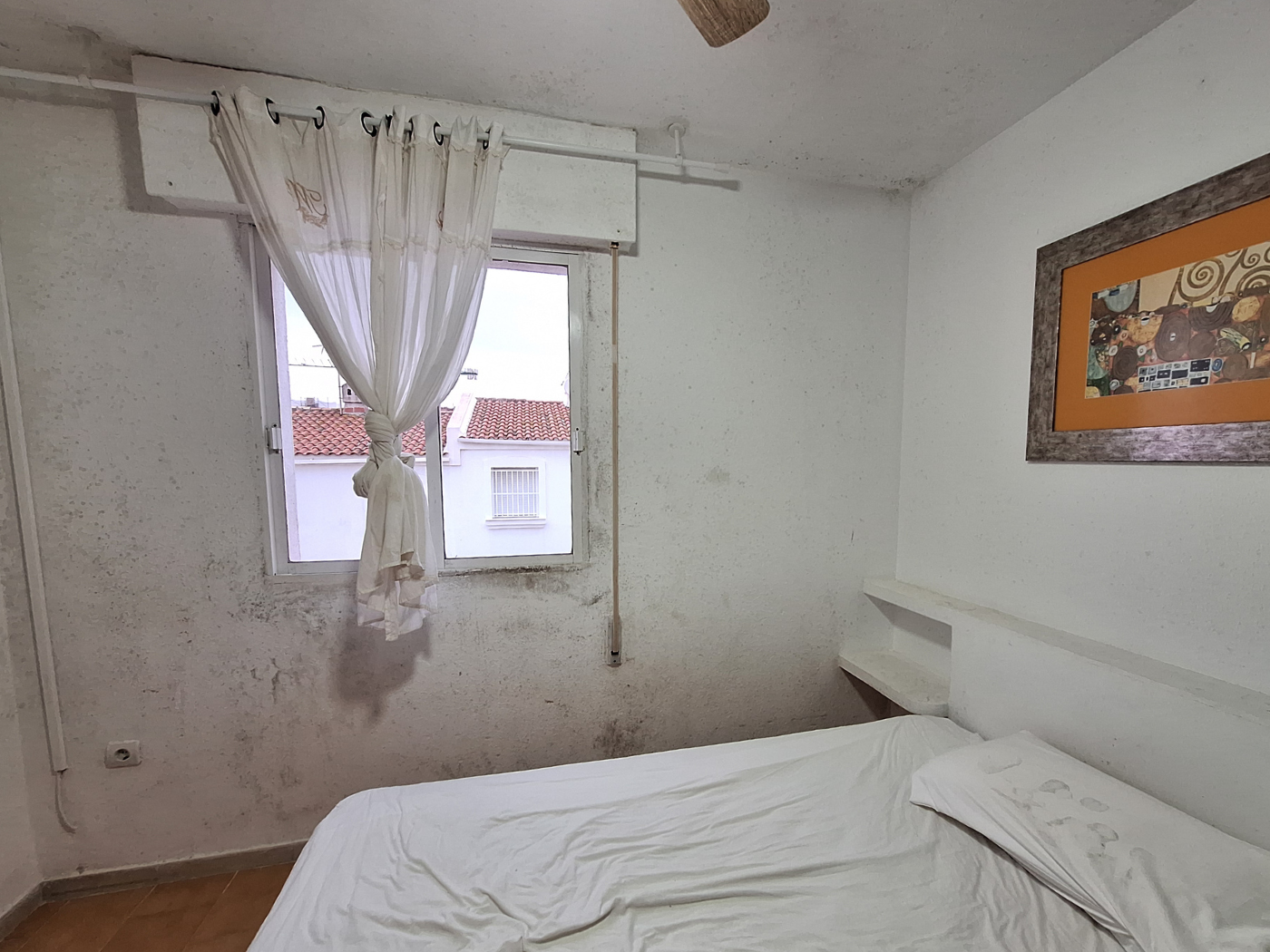 Tarifa accommodation in Spain house rental mold humidity fungal spread infection