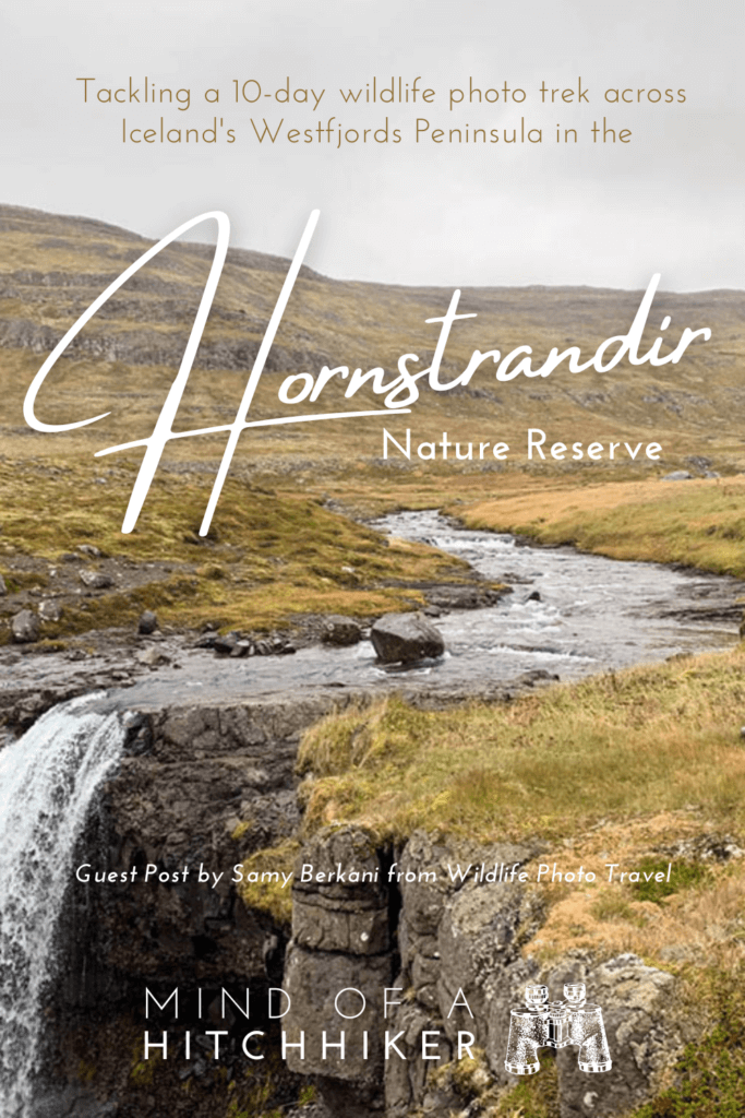 waterfall Iceland Hornstrandir nature reserve trek guest post Sami Berkani