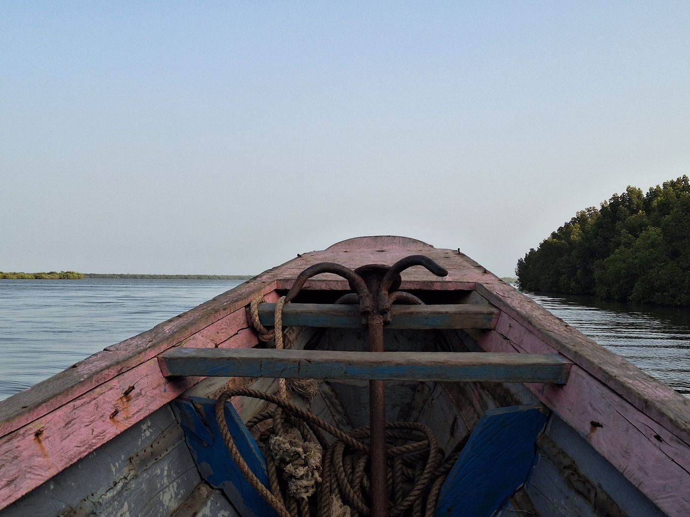 Cacheu River Mangroves Natural Park delta mouth into the river travel to Guinea-Bissau