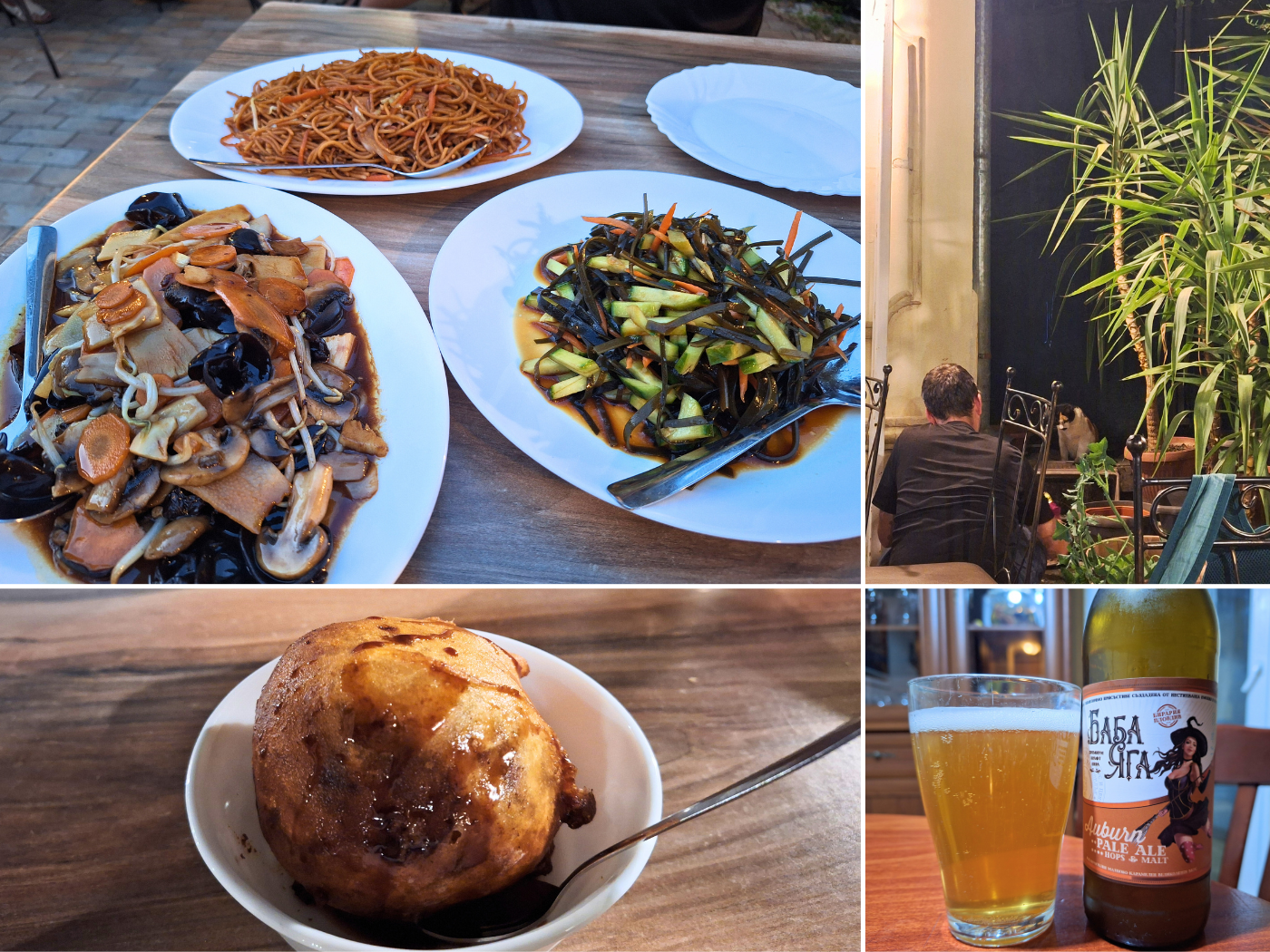 Tuesday 25 June Chinese restaurant bambuk Ruse Bulgaria cat