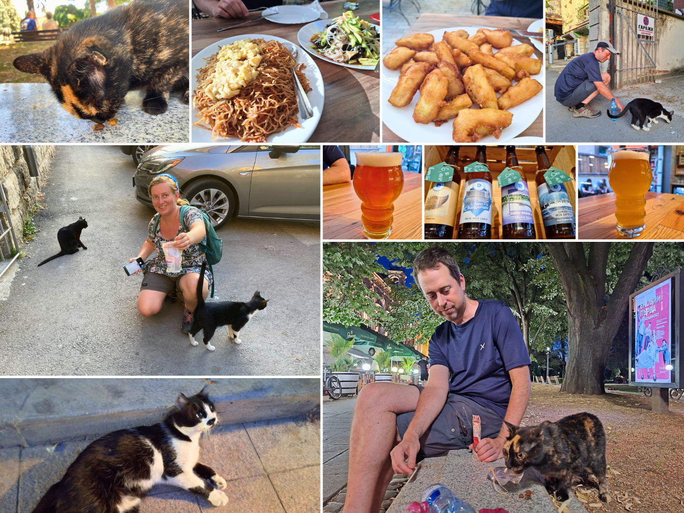 Sunday 30 June Chinese restaurant Bambuk tortie street cat Ruse Bulgaria