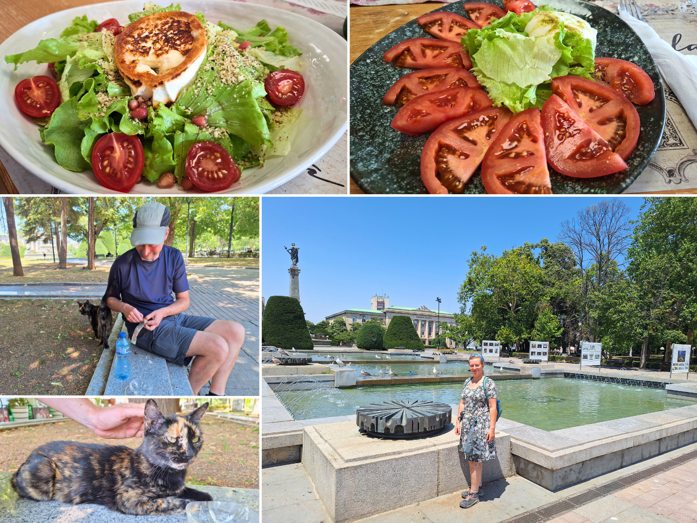 Monday 1 July 2024 Restaurant Hacienda Ruse Bulgaria tortoiseshell street cat sweetheart