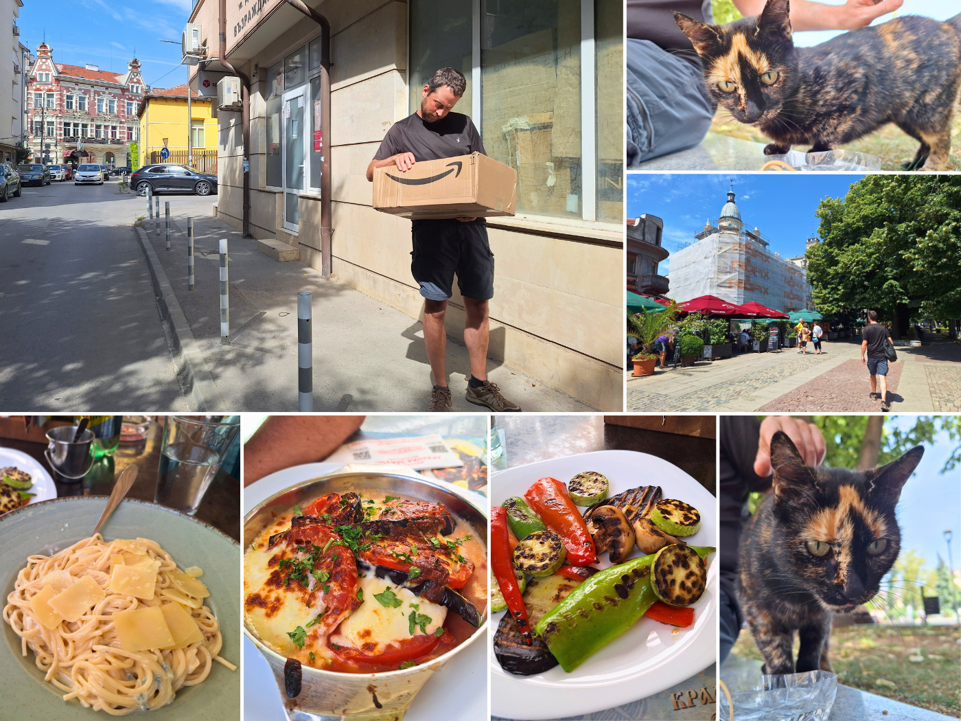 Friday 28 June 2024 Amazon package Ruse Bulgaria online kayak sail order lunch tortie tortoiseshell street cat King Breakfast grilled vegetables lunch