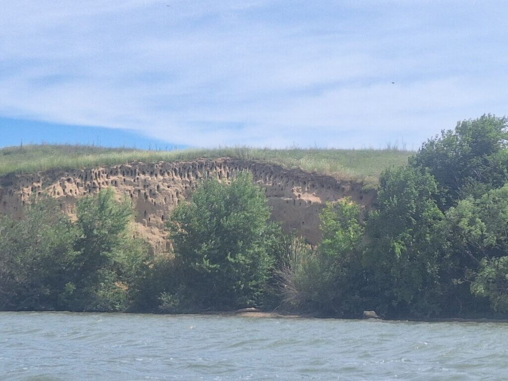 cliffs Danube River bird holes loess nests Tiganasi Romania Portile de Fier II hydropower