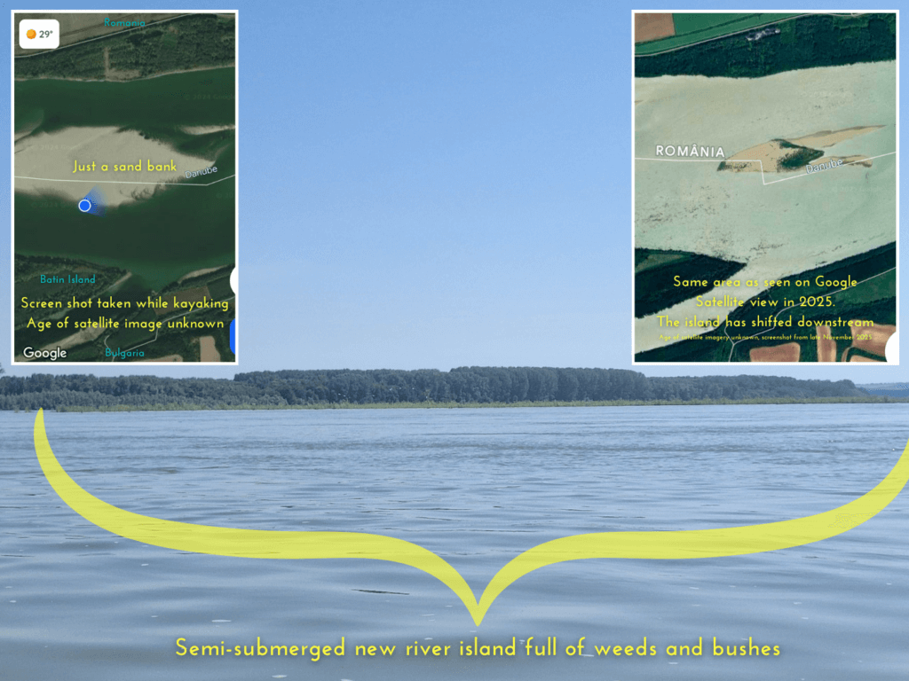 the creation of a new river island from sediments 2024 compared to 2025 pioneer species satellite high water levels Danube River Balkan Bulgaria Romania