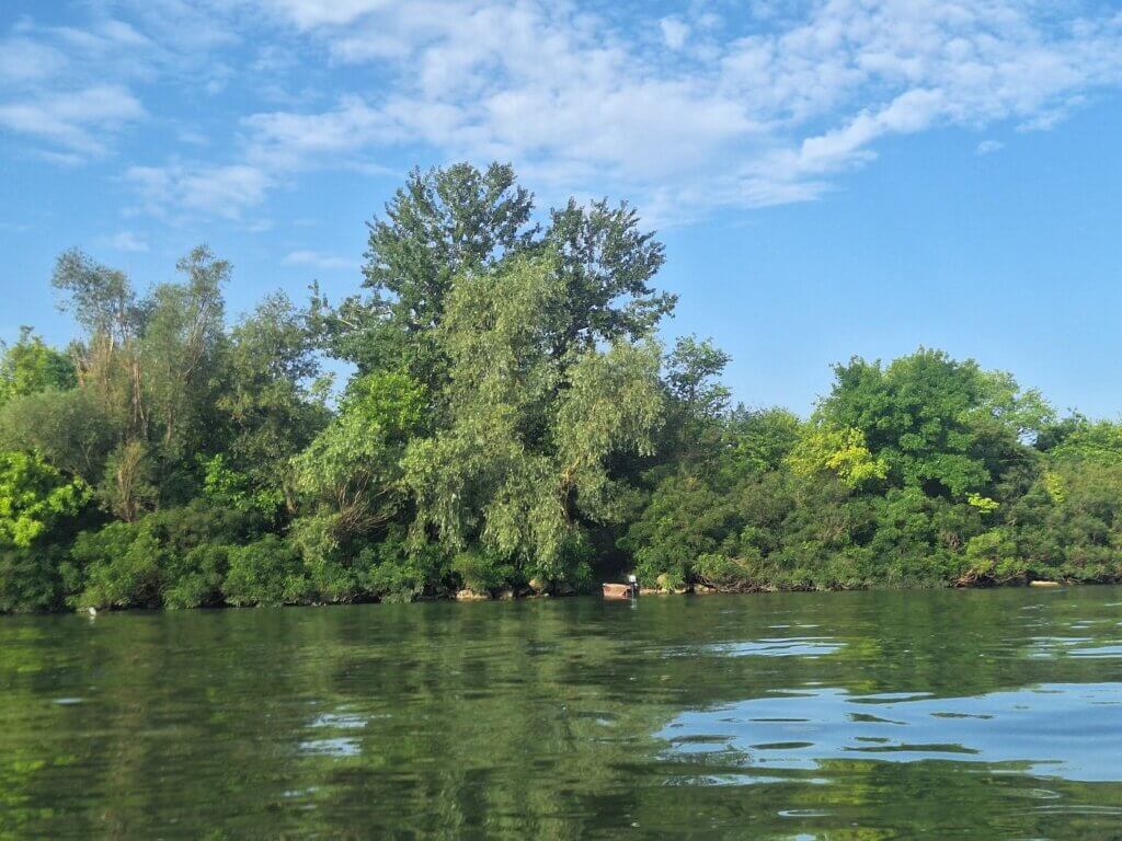 Simian Island Danube Romania fishermen paradise pond backwater wetland birds