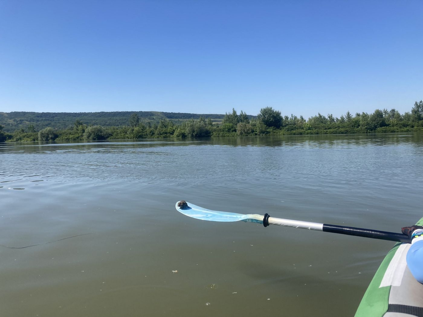 mouse fished out of the Danube River drowning paddle kayak rescue bring to shore Bulgaria Romania Balkan