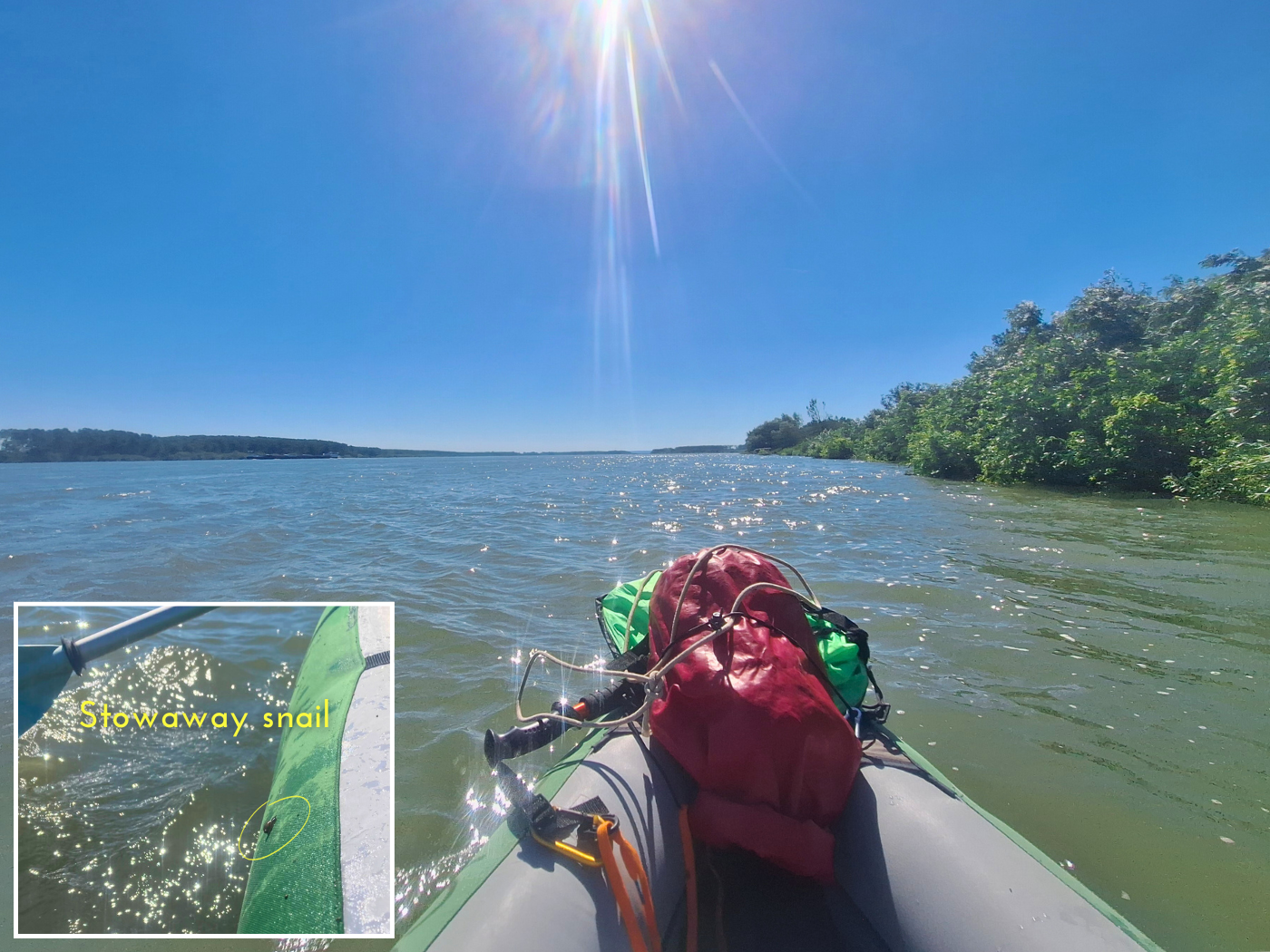 continue kayaking after break on land Ratsiaria Bulgaria snail on inflatable kayak stowaway animal