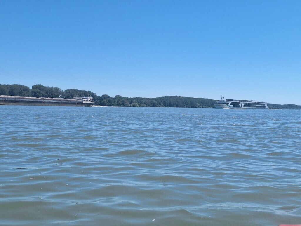 cruise ship overtaking inland transport ship Danube River Bulgaria Romania river islands Archaro-Orsoy Lowland Dobrina Petrisul Dovlek Ostrovu Acalia