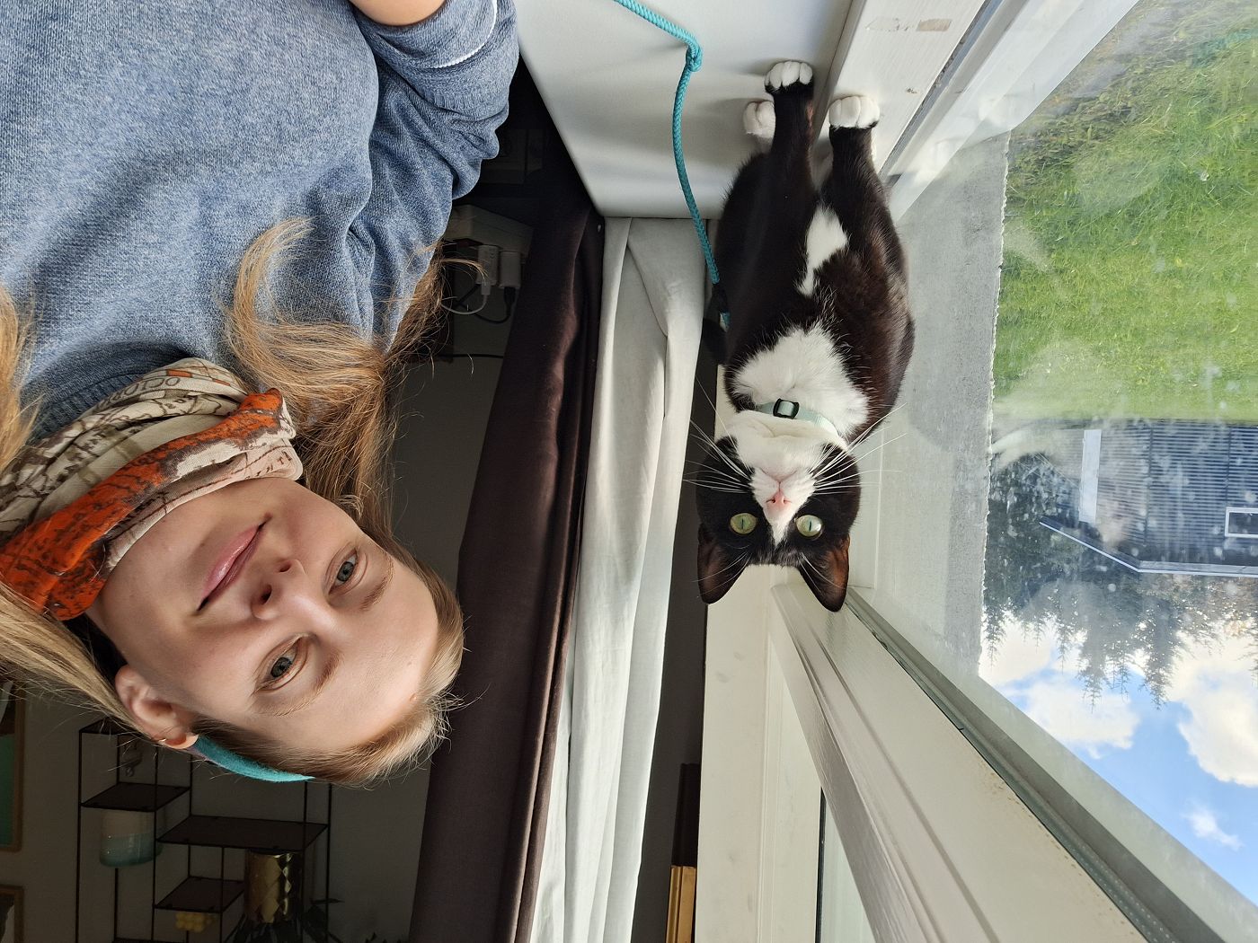 catsitting in Reykjavík accommodation in Iceland Lukka tuxedo cat feline travel