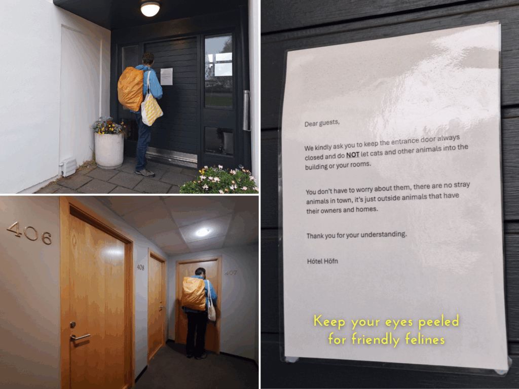 collage accommodation in Iceland fishing town Höfn hotel annex block 4 entryway don't let the cats in cat friends