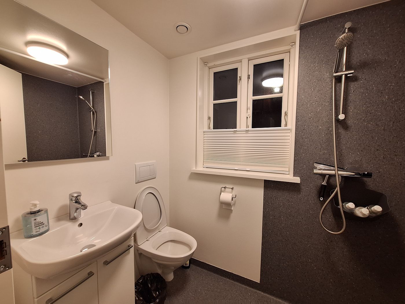 bathroom shower sink toilet apartment in Tórshavn Faroe Islands